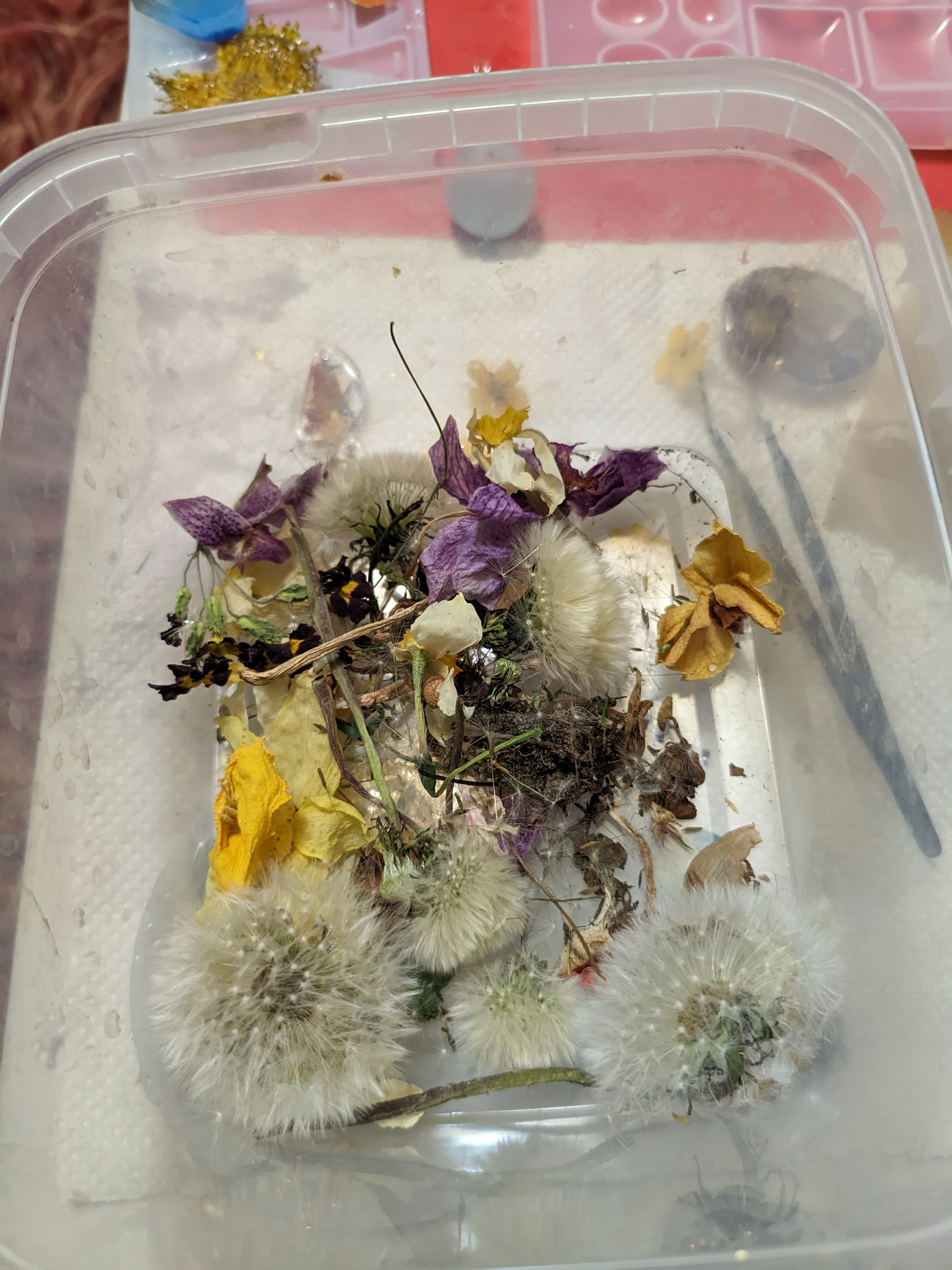 A descriptive alt text for the image